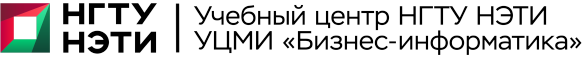УЦМИ Бизнес-информатика НГТУ НЭТИ